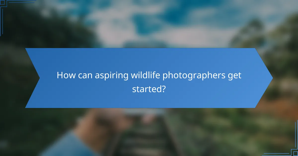 How can aspiring wildlife photographers get started?