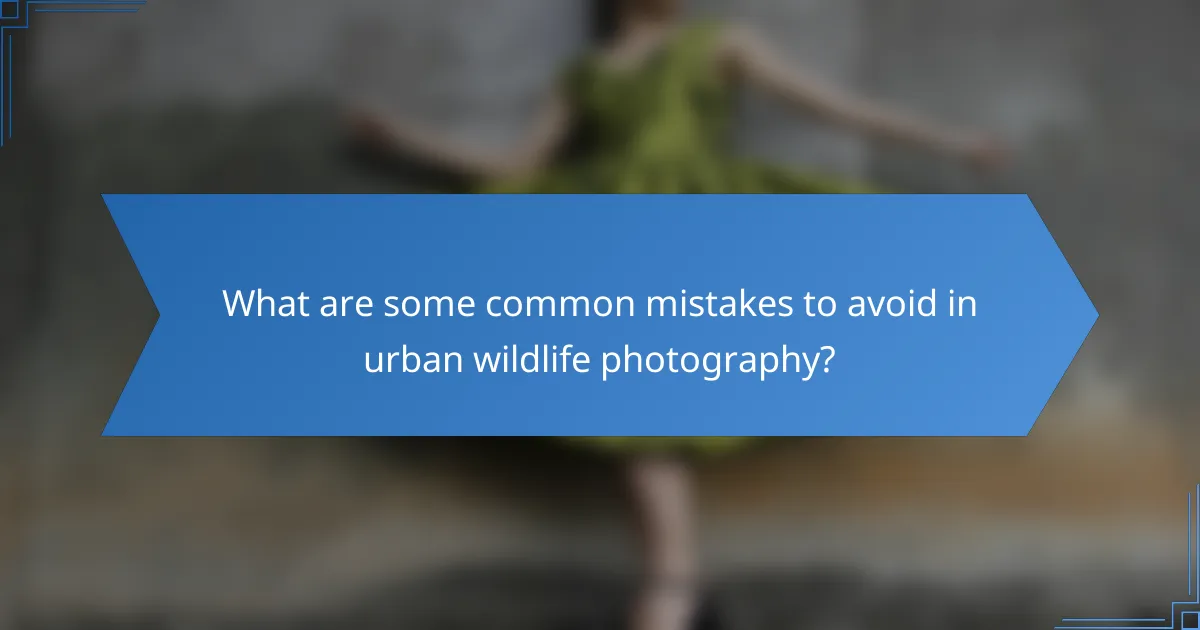 What are some common mistakes to avoid in urban wildlife photography?