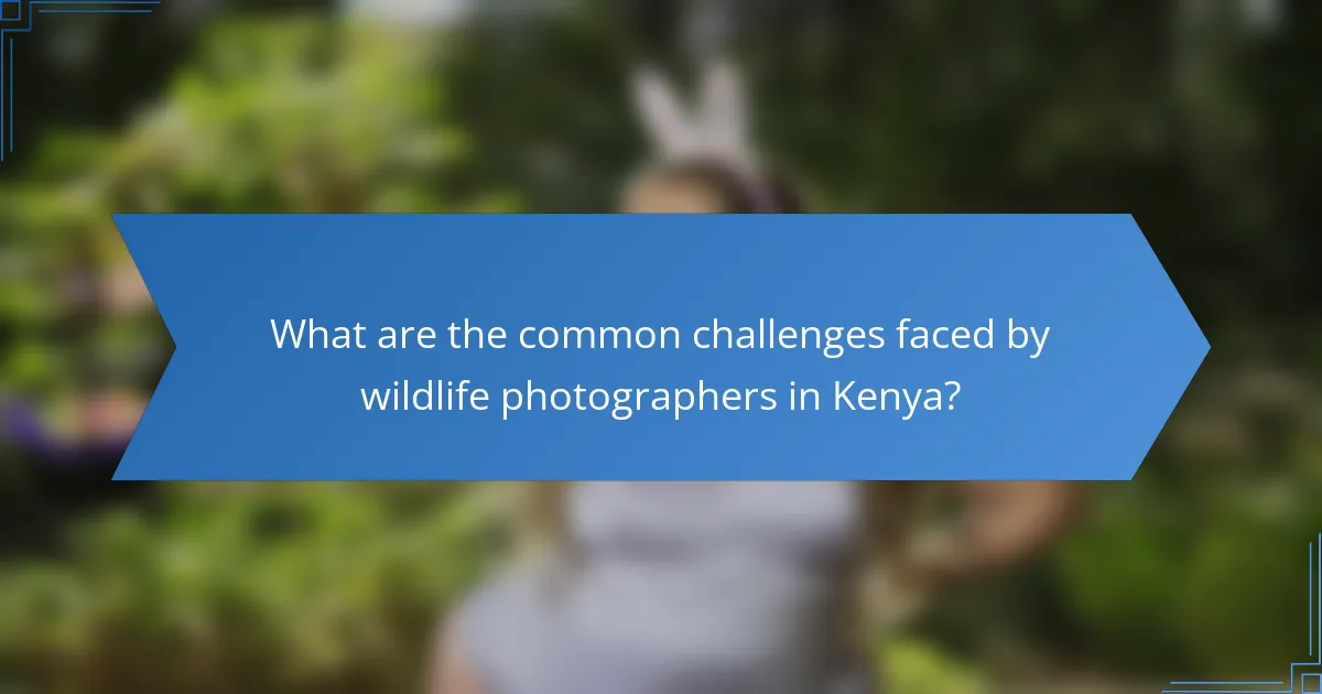 What are the common challenges faced by wildlife photographers in Kenya?