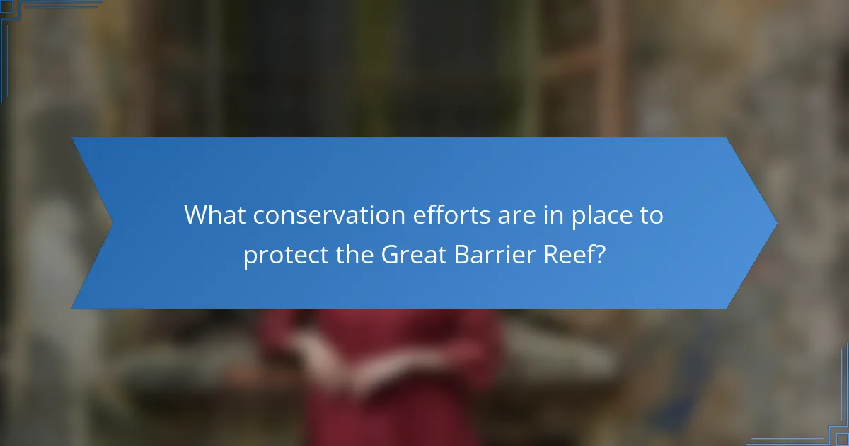 What conservation efforts are in place to protect the Great Barrier Reef?