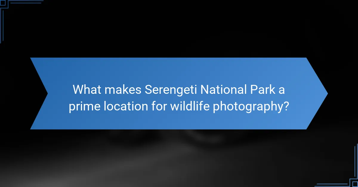 What makes Serengeti National Park a prime location for wildlife photography?