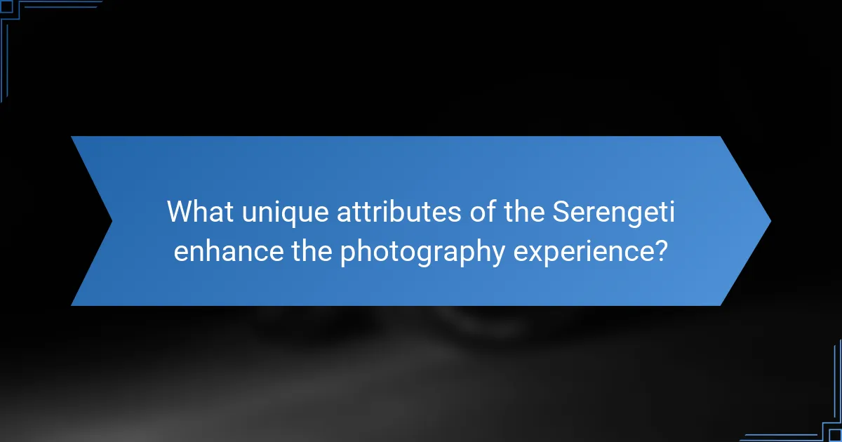 What unique attributes of the Serengeti enhance the photography experience?