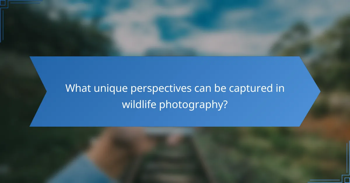 What unique perspectives can be captured in wildlife photography?