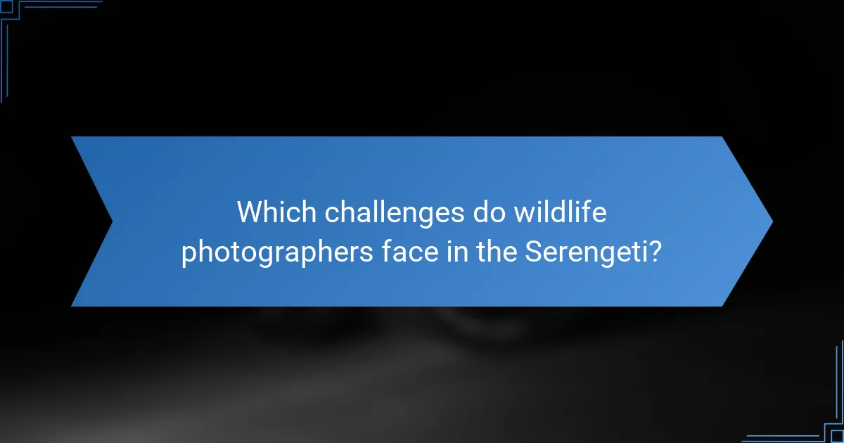 Which challenges do wildlife photographers face in the Serengeti?