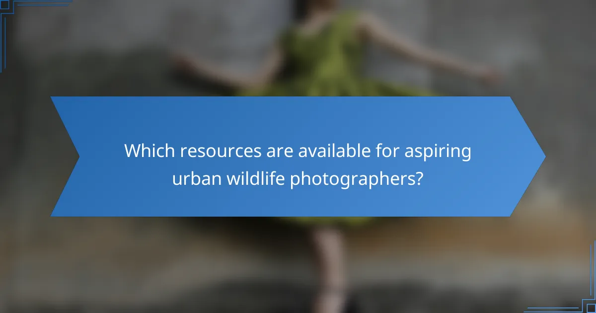 Which resources are available for aspiring urban wildlife photographers?